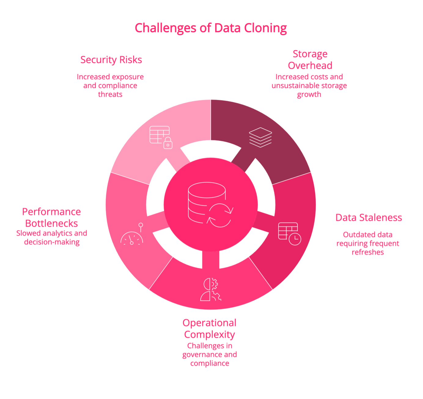 Challenges of Data Cloning