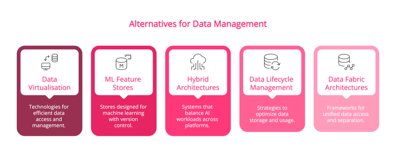 Alternatives for Data Management